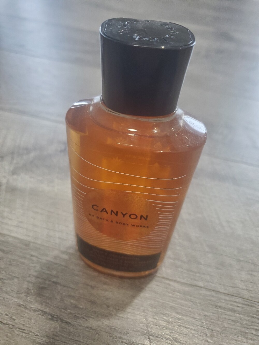 Bath And Body Works Mens Canyon Shower Gel